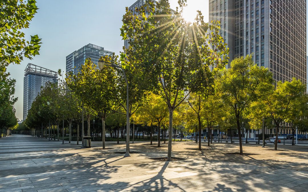 finding sobriety in New Jersey